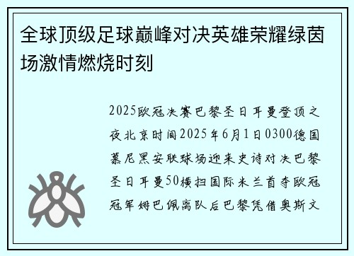 全球顶级足球巅峰对决英雄荣耀绿茵场激情燃烧时刻